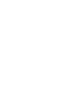 DRAGON TIGER